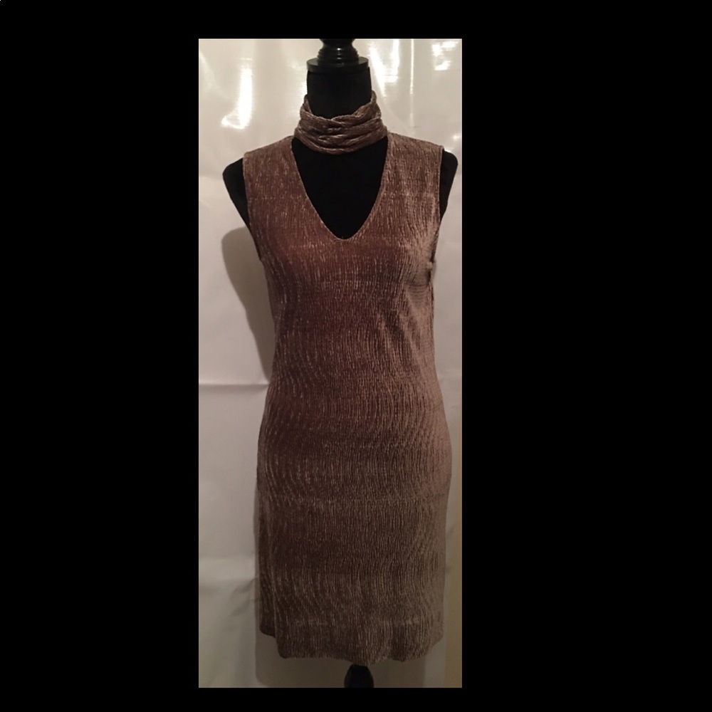 Gorgeous Velvety Dress - Small.